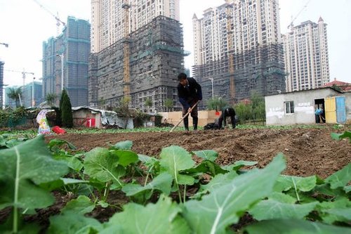 全国农村集体土地近八成确权发证