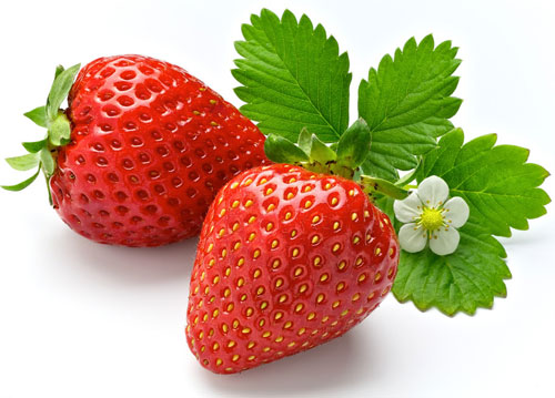 如何种植草莓产量高品质好 