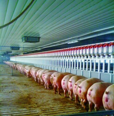 湘潭形成六种新型生态环保养殖模式