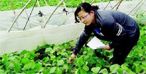 年轻女村官的平凡一天