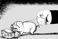 寡糖助养殖业突破抗生素之围