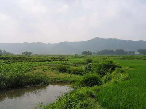 “特色种养科技村”促增收